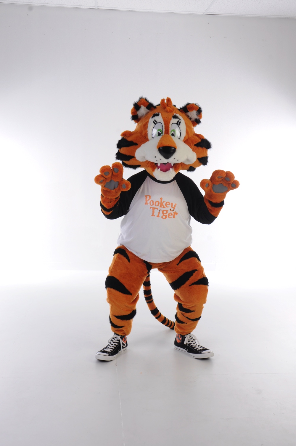 Pookey Tiger 1