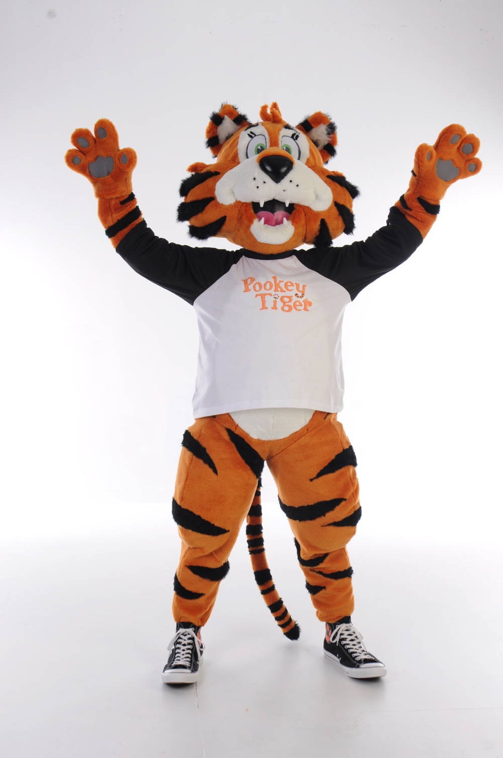 Pookey Tiger 1