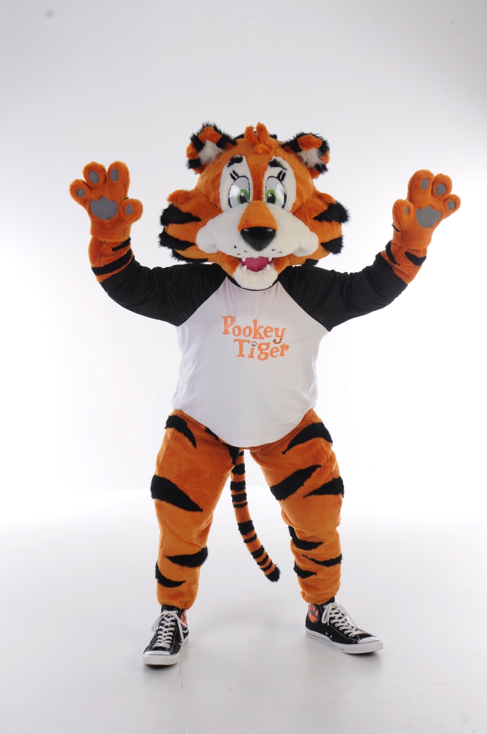 Pookey Tiger 1