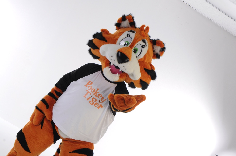 Pookey Tiger 1