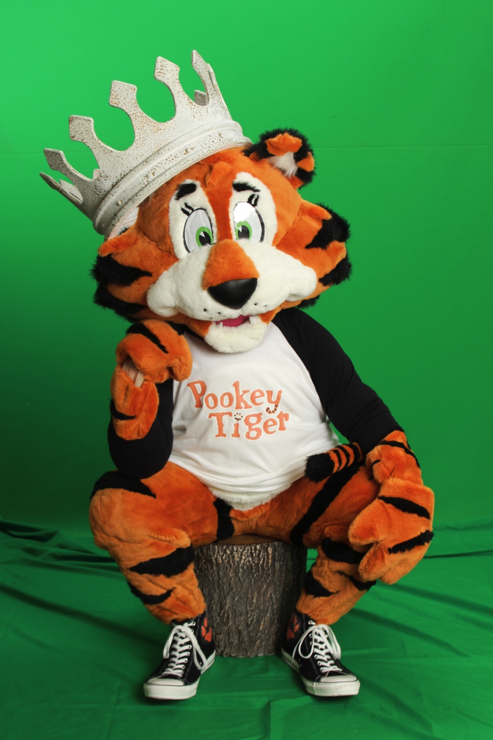 Pookey Tiger 2