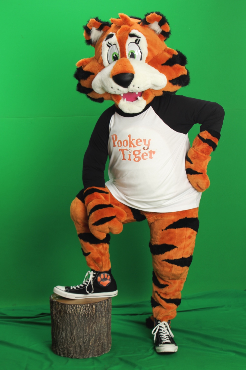 Pookey Tiger 2